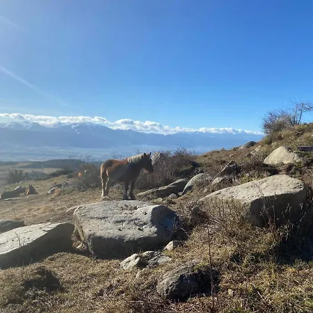 Apartament Des Ours *